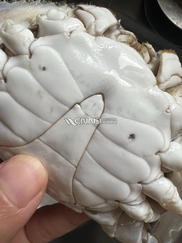 1755160555782781_861.jpg