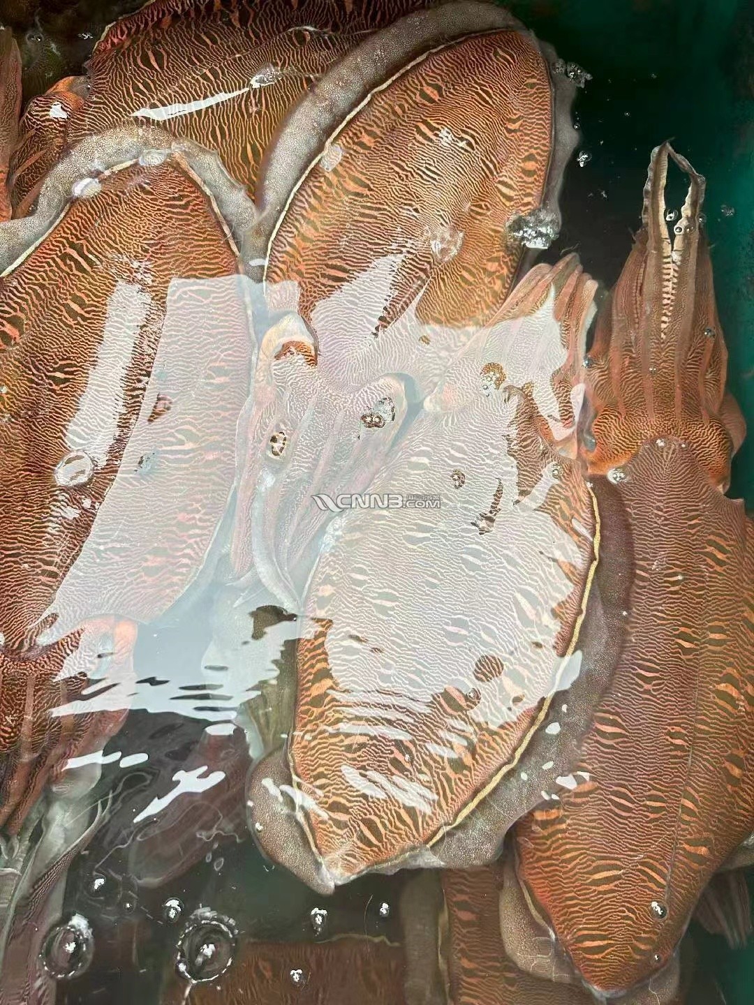 1758888222007753_143.jpg