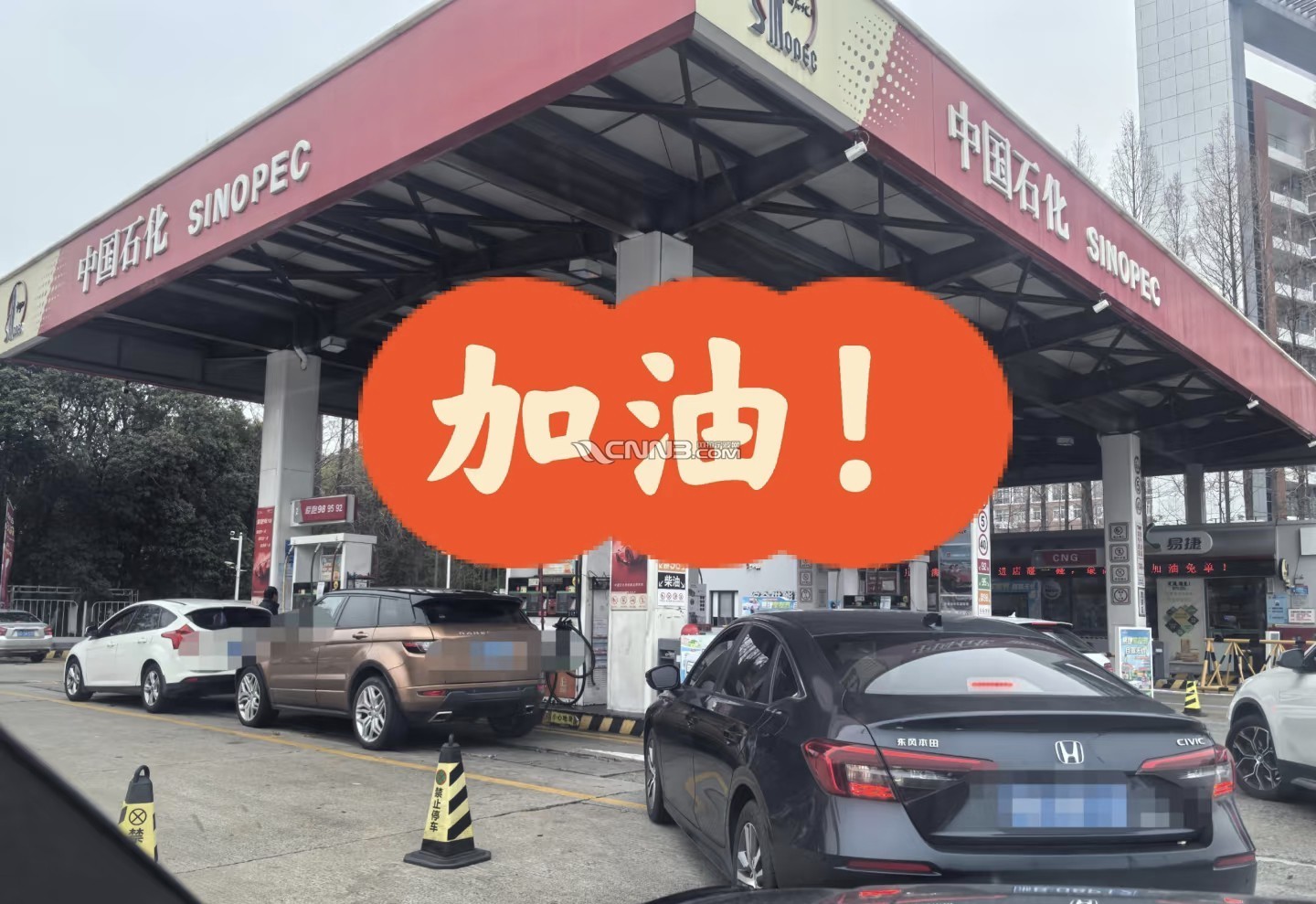1774256219376154_349.jpg