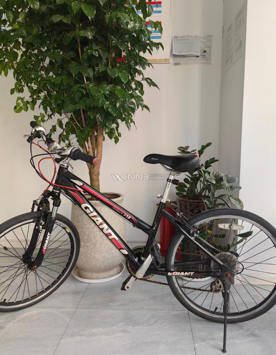 自行车1微信图片_2026-05-05_133324_927.png