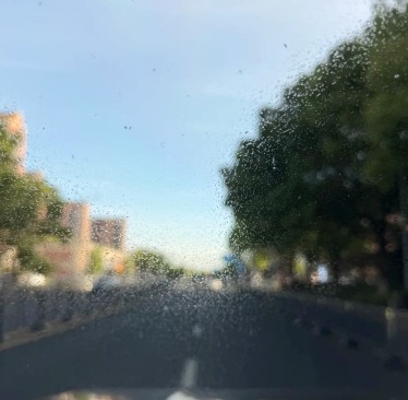 1778660485987255_762.png