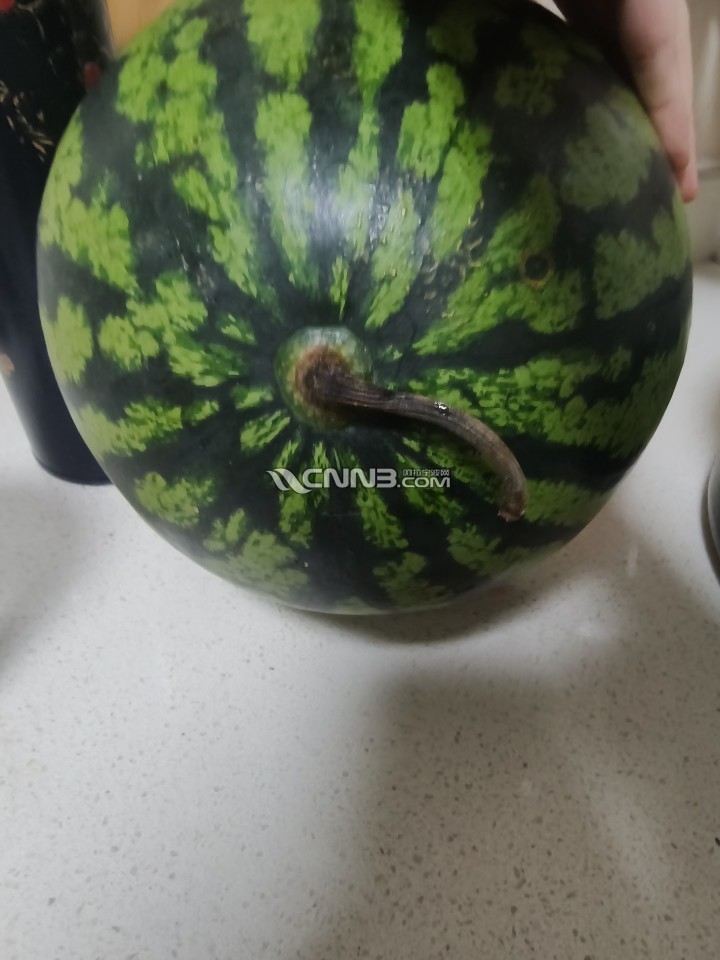 1778661069651465_520.png