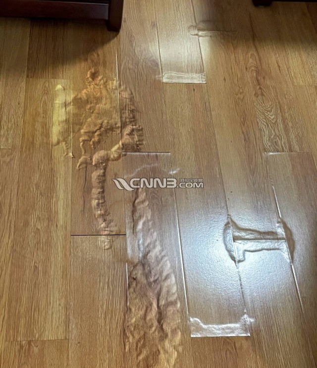 1779942689912959_621.png