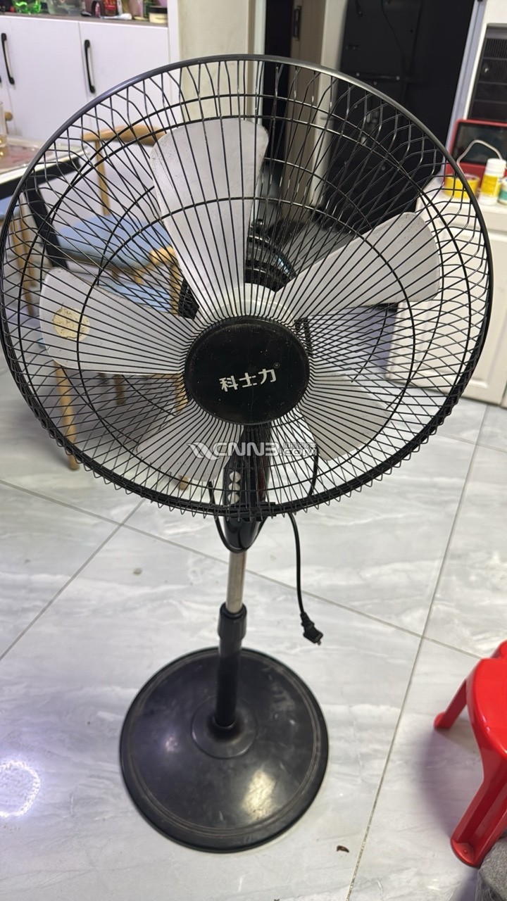 1780191553054195503.jpg