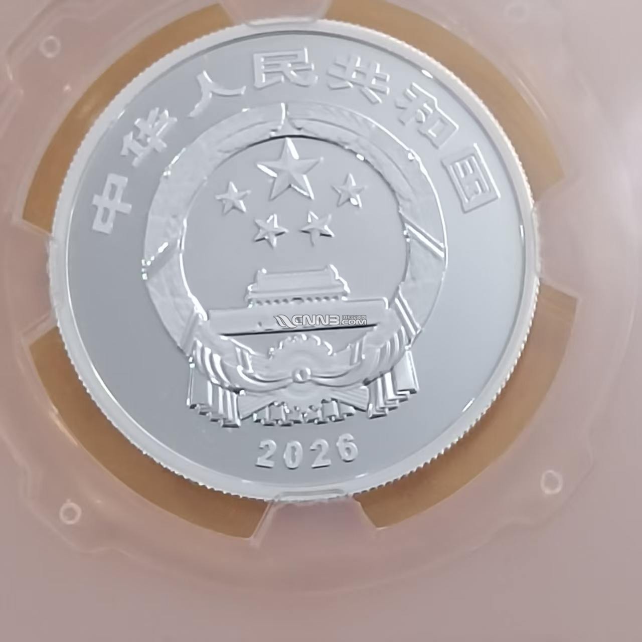 1782618381187204_517.jpg