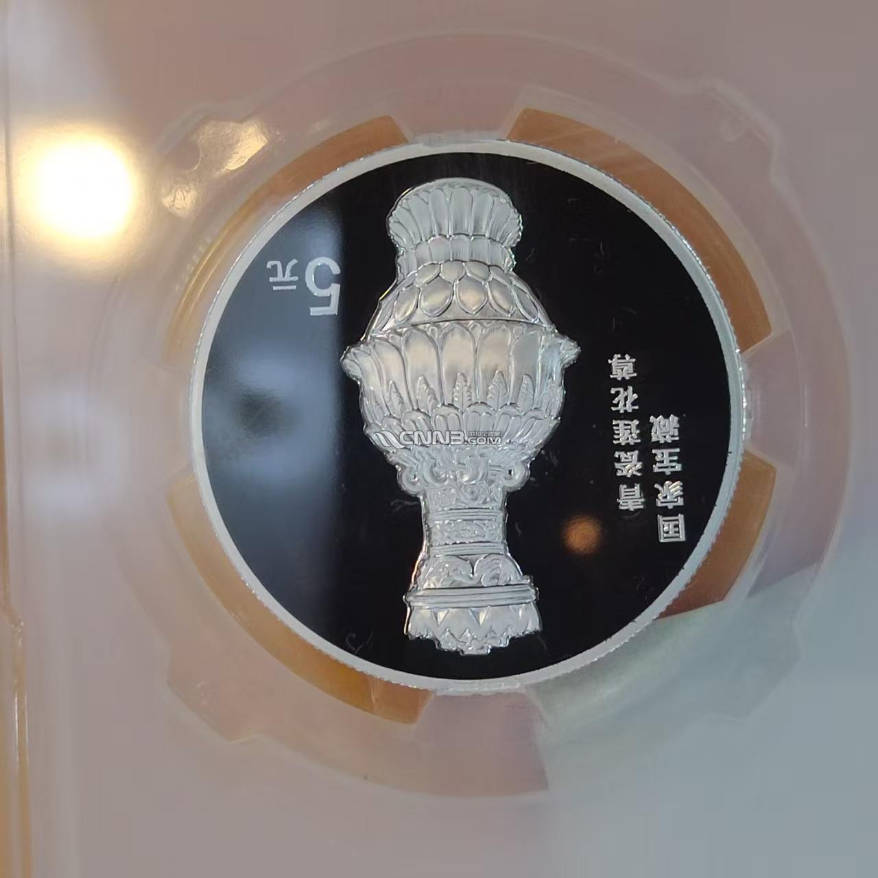 1782618381201188_401.jpg