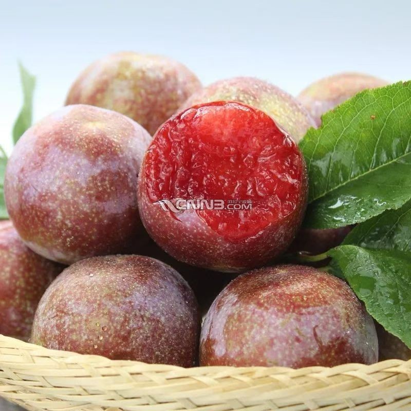 1784112661992269_228.jpg