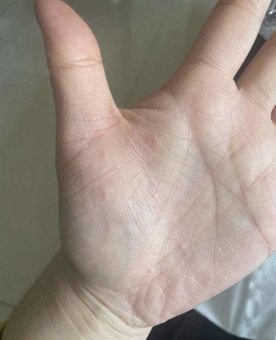 1786524376153992_524.jpg
