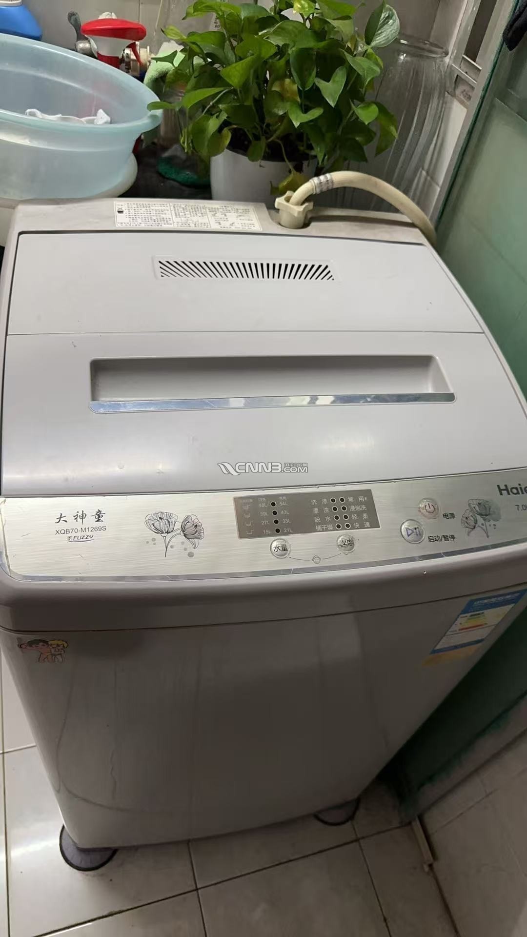 1786891037669965_331.jpg