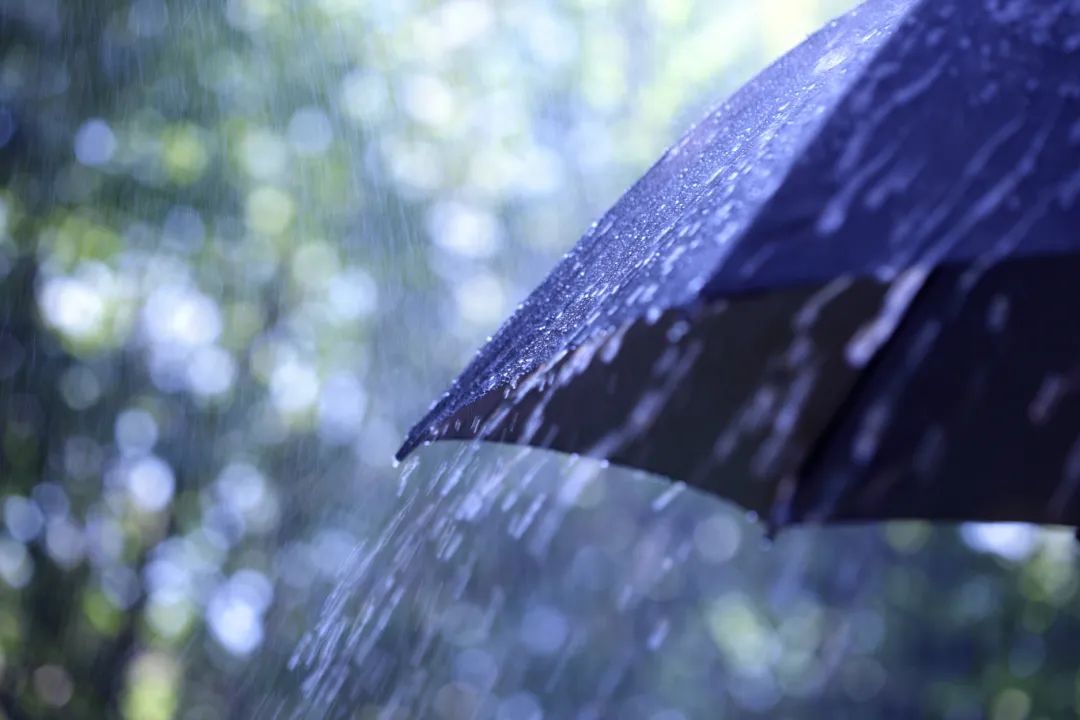 千库网_雨伞雨伞_摄影图编号20205505.jpg